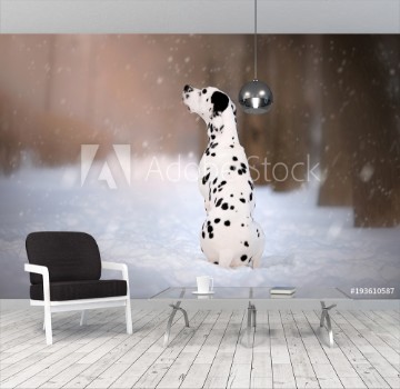 Picture of Dog on winter background